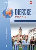 Florian Ringel: Diercke Praxis SI - Ausgabe für Gymnasien in Sachsen - geheftet