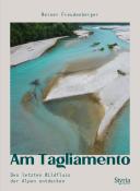 Werner Freudenberger: Am Tagliamento - Taschenbuch