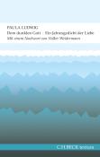 Paula Ludwig: Dem dunklen Gott - Taschenbuch