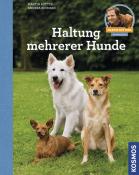 Andrea Buisman: Haltung mehrerer Hunde - gebunden