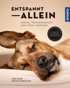Jörg Ziemer: Entspannt allein - Taschenbuch