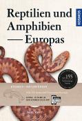Axel Kwet: Reptilien und Amphibien Europas - Taschenbuch