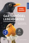 Daniela Strauß: Gartenvögel lebensgroß - Taschenbuch