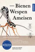 Matthias Helb: Bienen, Wespen, Ameisen - Taschenbuch