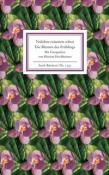 Veilchen träumen schon. Die Blumen des Frühlings - Taschenbuch