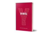 Michael Langer: Y-Bibel, Jugendbibel der Katholischen Kirche, Auswahlbibel - Taschenbuch