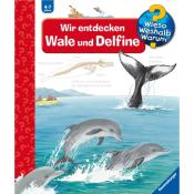 Doris Rübel: Wieso? Weshalb? Warum? Band 41: Wir entdecken Wale und Delfine