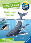 Sandra Noa: Wieso? Weshalb? Warum? Erstleser, Band 3: Wale und Delfine - gebunden