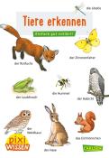 Hanna Sörensen: Pixi Wissen 30: Tiere erkennen - Taschenbuch