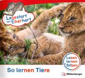 Lesestart mit Eberhart - Sonderheft: So lernen Tiere - geheftet