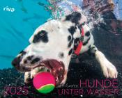 Seth Casteel: Hunde unter Wasser 2025