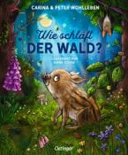 Peter Wohlleben: Wie schläft der Wald?