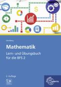 Daniel Schellberg: Mathematik - Lern- und Übungsbuch für die BFS 2 - Taschenbuch