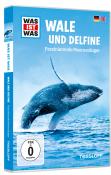 WAS IST WAS DVD Wale und Delfine. Faszinierende Meeressäuger, 1 DVD - DVD