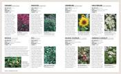 Zia Allaway: Grünes Gartenwissen. Ökologisch gärtnern - Taschenbuch