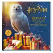 Buchcover mit Hedwig, der Eule aus Harry Potter. Umgeben von Geschenken und Weihnachtsstimmung.