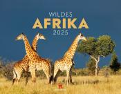 Ackermann Kunstverlag: Wildes Afrika Kalender 2025