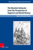 The Mamluk Sultanate from the Perspective of Regional and World History - gebunden