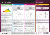 Schulze Media GmbH: Trigonometrie - poster