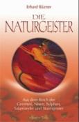 Erhard Bäzner: Die Naturgeister - Taschenbuch