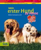 Dominik Kieselbach: Mein erster Hund zu Hause - Taschenbuch