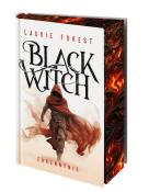 Laurie Forest: Black Witch - Erkenntnis - gebunden