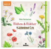 Anke Küpper: Blüten & Blätter sammeln - Taschenbuch