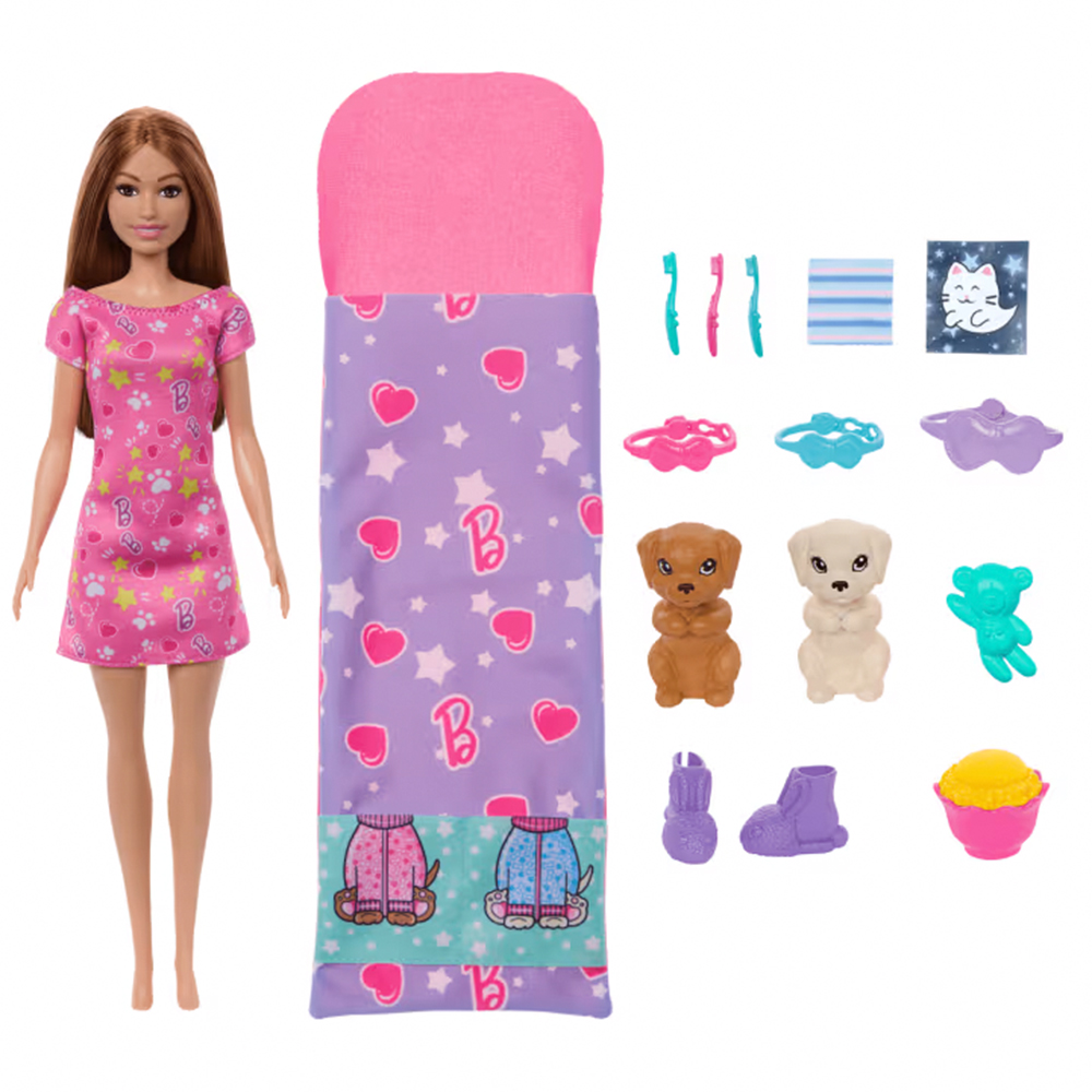 MATTEL Barbie Puppe und Welpen Pyjama-Party-Spielset bunt