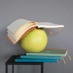 Ein grüner Ball mit offenen Notizbüchern darauf. Die Notizbücher haben orangefarbene Lesezeichen.