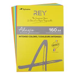 REY Kopierpapier Adagio Intensive Farben 5 x 20 Blatt A4 160 g mehrere Farben