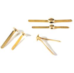 Packung mit 40 goldenen Split-Pins. Größe 24 mm, in grüner Verpackung.