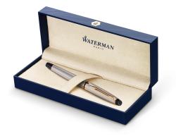 WATERMAN Füllhalter Expert Metallic silber/gold