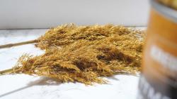 KREUL Blattmetall Effektspray 400 ml gold
