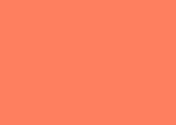 Ein einfarbiger Hintergrund in sanften Orange-Tönen. Keine weiteren Objekte oder Muster sichtbar.