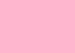 Einfarbiger, sanfter rosa Hintergrund. Keine weiteren Elemente oder Muster sichtbar.