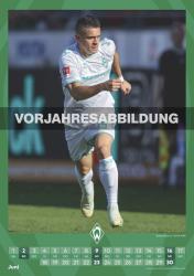 N NEUMANNVERLAGE - Werder Bremen 2025 Wandkalender, 29,7x42cm, Fußball-Kalender mit Motiven der Stars, Fan-Kalender mit Fußball-Highlights, Spiralbindung und deutsches Kalendarium