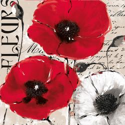 Drei rote Mohnblumen und eine weiße Blume auf einem beige Hintergrund. Schriftzüge und handschriftliche Notizen sind sichtbar.