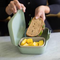 Grüne Brotdose mit einem niedlichen Fuchs-Motiv. Umgeben von bunten Blättern.
