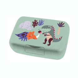 grüne Brotdose mit bunten Dinosaurier-Motiven. Zeichnungen von einem Triceratops und einem T-Rex. Einfaches Design, leicht und handlich.