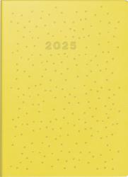 Taschenkalender Modell Technik S (2025) Dots