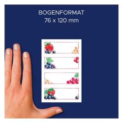 AVERY Zweckform Haushaltsetiketten 3 Bögen bunt