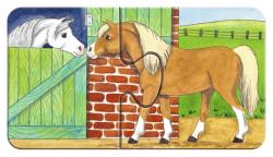 Illustration von zwei Pferden. Ein graues Pferd schaut aus einem Stall, ein braunes Pferd steht davor.