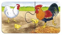 Illustration von einem Hahn und einer Henne mit zwei Küken. Hintergrund mit Gras und Erde.