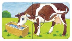 Eine braune Kuh trinkt Wasser aus einer Tränke. Die Umgebung ist grün mit einem blauen Himmel.