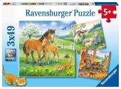 Puzzle von Ravensburger mit Tieren. Enthält Bilder von Pferden, Löwen und anderen Tieren.