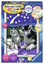 RAVENSBURGER Malen nach Zahlen Hund und Katze