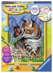 RAVENSBURGER Malen nach Zahlen Katze mit Schmetterling Serie D 