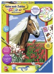 RAVENSBURGER Malen nach Zahlen Haflinger