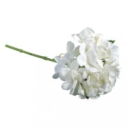 Weiße Hortensie mit vielen Blüten. Der Stängel ist grün und dünn.
