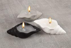 Drei weiße Formen in Muschel- und Sternchen-Design. Sie sind aus einem glatten Material.